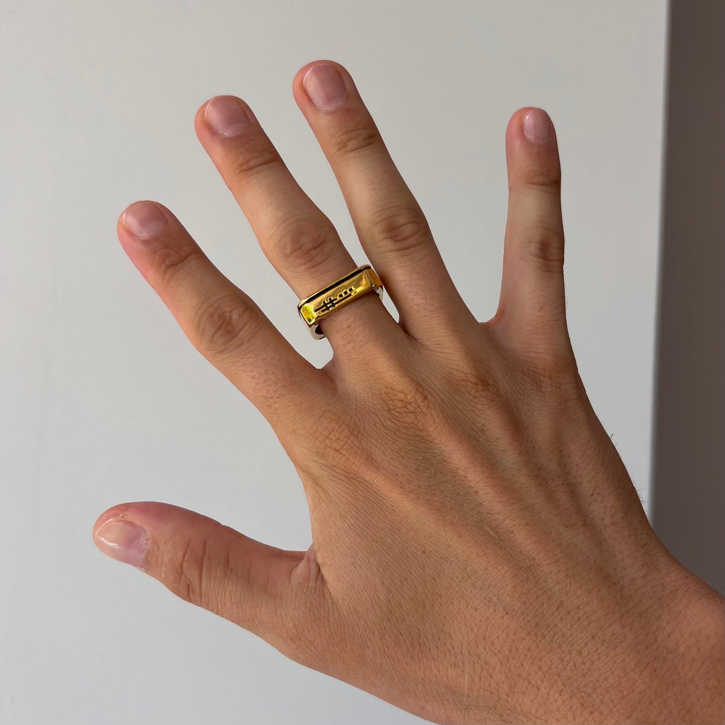 Anillo tipo tuerca atornillada