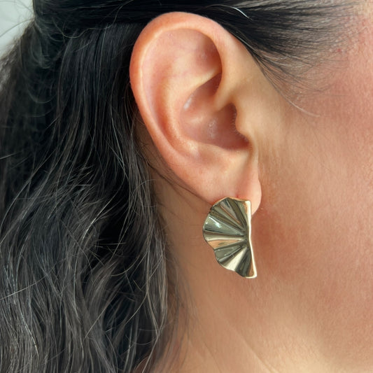 Arete media concha