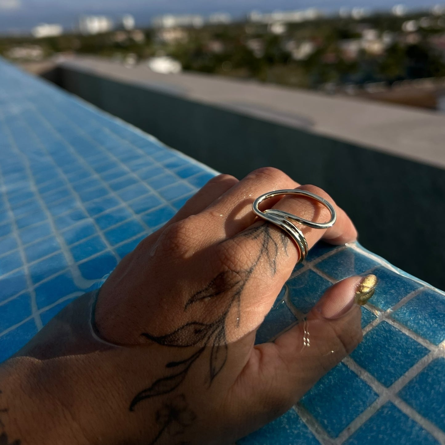 Anillo orbit
