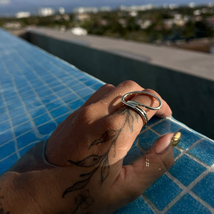 Anillo orbit