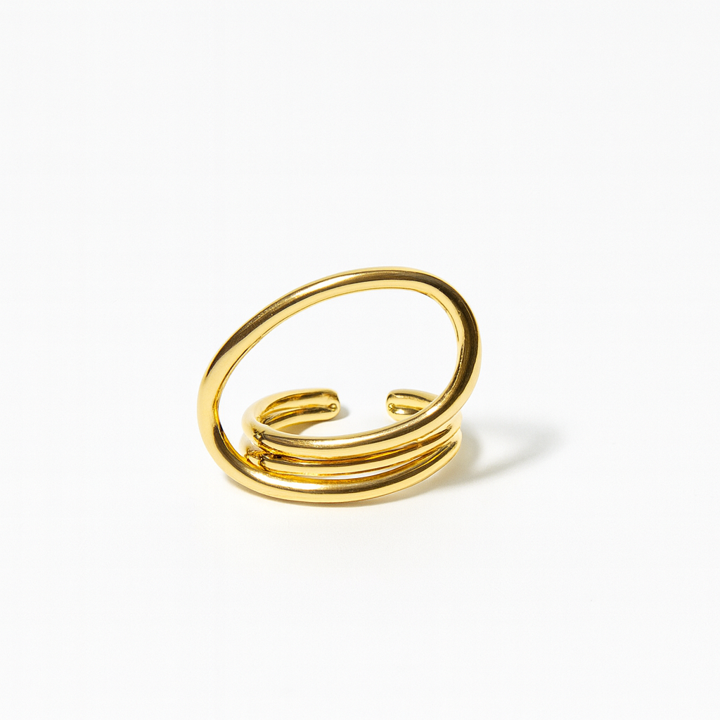 Anillo orbit